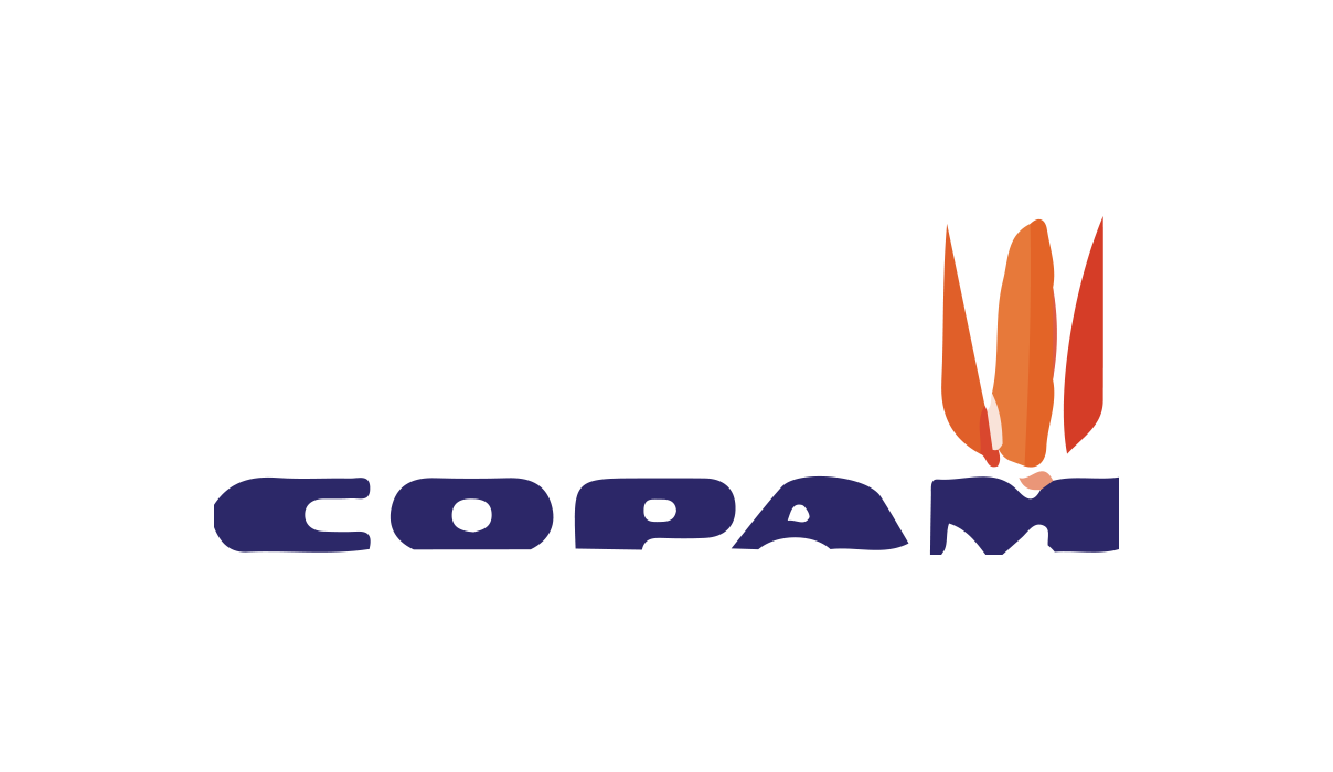 COPAM - Cliente WiseMetering - LMIT, Grupo LM